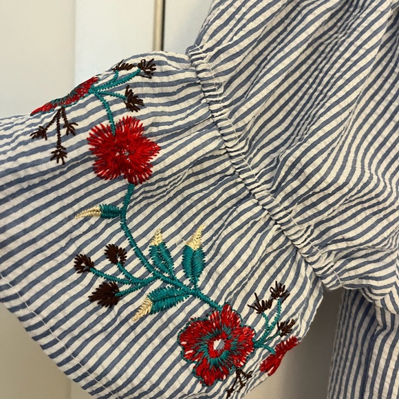 Seersucker mini dress with embroidered flower sleeves - Picture 2 of 3